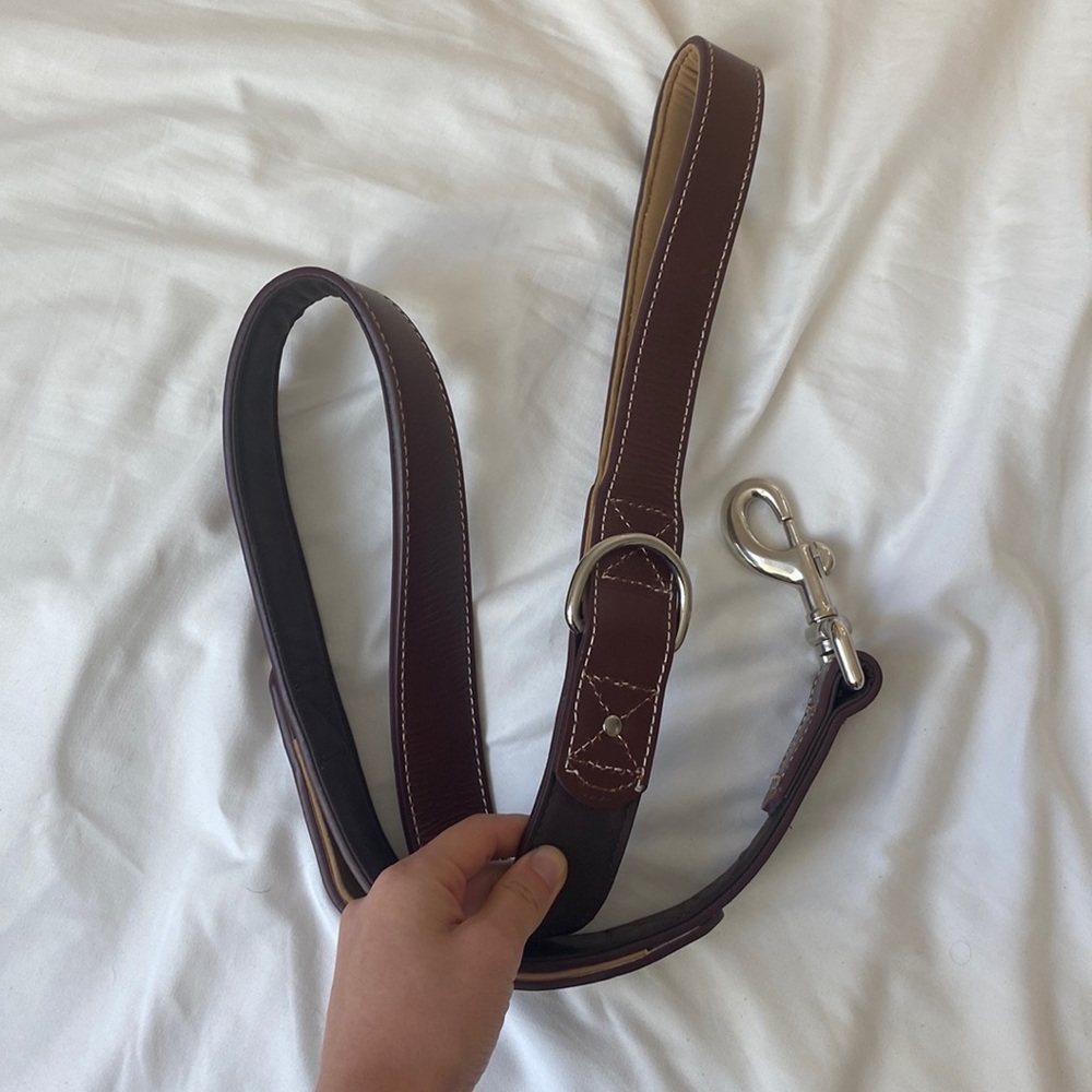 Genuine leather 4 ft. dog leash for xl dog NWOT